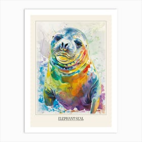Elephant Seal Colourful Watercolour 2 Poster Art Print