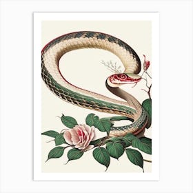 Chinese Cobra Snake 1 Vintage Art Print