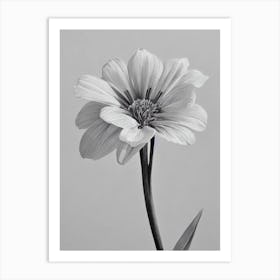 Lavender B&W Pencil 3 Flower Art Print