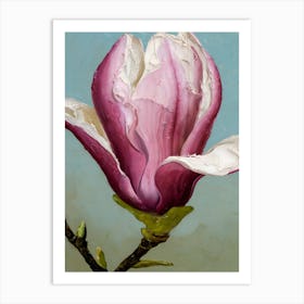 Magnolia 7 Art Print