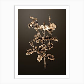 Gold Botanical Prickly Sweetbriar Rose on Chocolate Brown n.4803 Art Print
