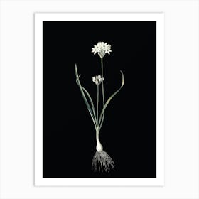 Vintage Three Cornered Leek Botanical Illustration on Solid Black n.0639 Art Print