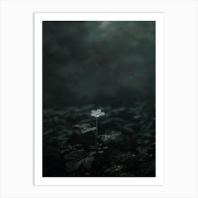 Flower In The Dark 74 Art Print