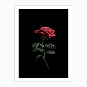 Single Red Rose On Black Background 1 Art Print