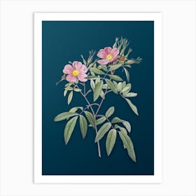 Vintage Pink Swamp Roses Botanical Art on Teal Blue n.0591 Art Print