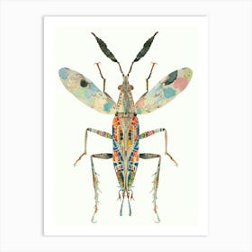 Colourful Insect 6 Illustration Art Print