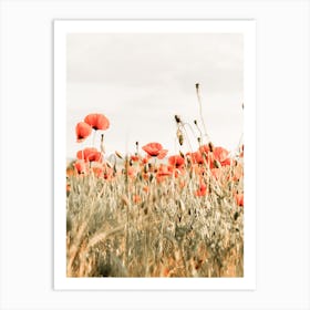 Poppy Flower Field Art Print