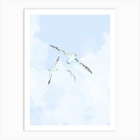 Seagulls Art Print