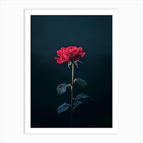 Single Red Rose 3 Art Print