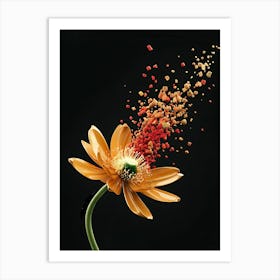 Flower Falling From The Sky Art Print