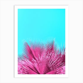 Pink Mexican Fan Palm Fronds Art Print