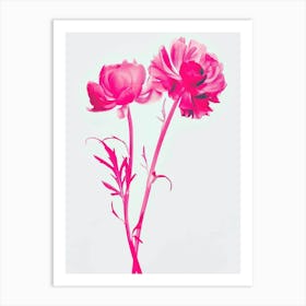 Hot Pink Everlasting Flower 1 Art Print