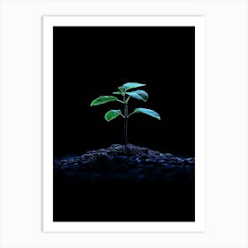 Small Green Plant On A Black Background Art Print