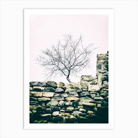 The Tree On The Wall Art Print