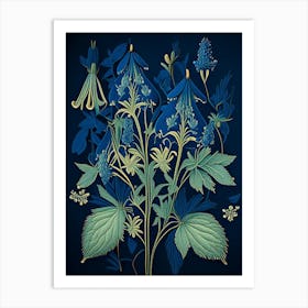 Blue Cohosh Herb Vintage Botanical Art Print