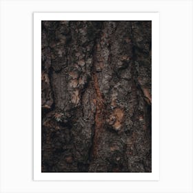 Pine Tree Bark Art Print