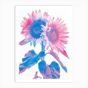 Blue And Pink Sunflowers 1 Art Print