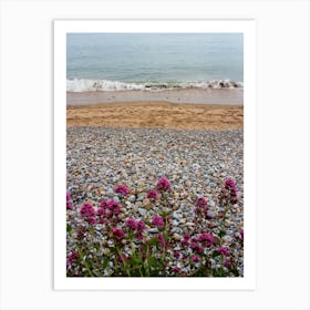 Flowers Pebbles Sand And Sea Art Print