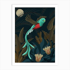 Sacred Quetzal Bird In The Jungle Art Print