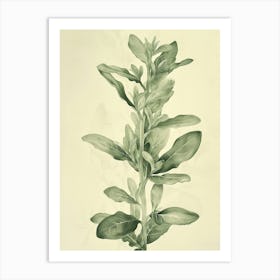 Jade Plant Minimalist Block Print 5 Art Print