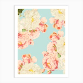 Redoute Summer Roses  Art Print