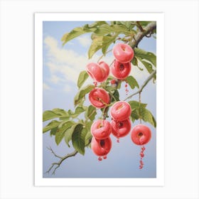 Cherry Blossoms Art Print