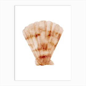 Colored seashells. Seashells. Summer. 15 Art Print