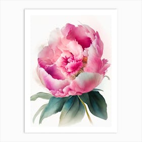 Peony Wildflower Watercolour Art Print