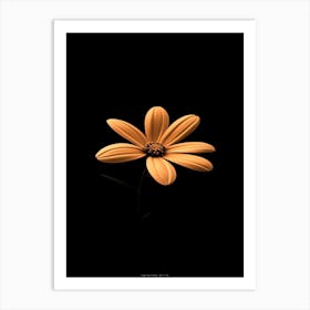 Flower On A Black Background 4 Art Print