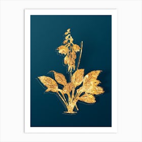 Vintage Daylily Botanical in Gold on Teal Blue n.0082 Art Print