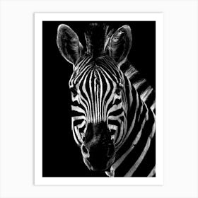 Black And White Zebra Art Print