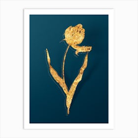 Vintage Didier's Tulip Botanical in Gold on Teal Blue n.0362 Art Print