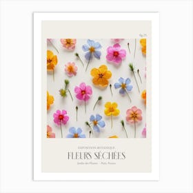 Fleurs Sechees, Dried Flowers Exhibition Poster 25 Art Print