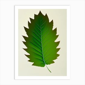 Elm Leaf Vibrant Inspired 2 Art Print