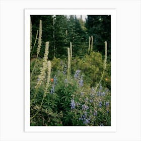 PNW Wildflowers Art Print