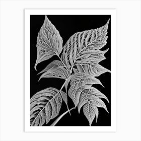 Pokeweed Leaf Linocut 3 Art Print