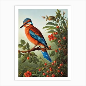 Kingfisher Haeckel Style Vintage Illustration Bird Art Print