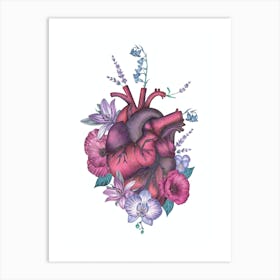 Anatomical Heart Pink Purple Art Print