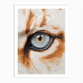 Eye Of A Cat Art Print