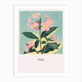 Phlox Square Flower Illustration Poster Art Print