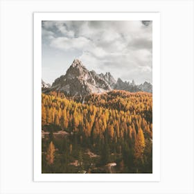 Autumn Mountain Trees Art Print