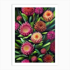 Proteas  Flower Art Print