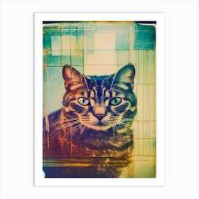 Cat Polaroid Art Print