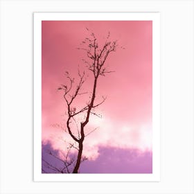 Bare Tree Against A Pink Sky 1 Art Print