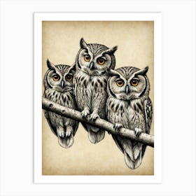 Owls On A Branch Art Print