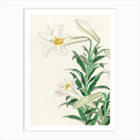 Lilies (1912 1930), Ohara Koson Art Print