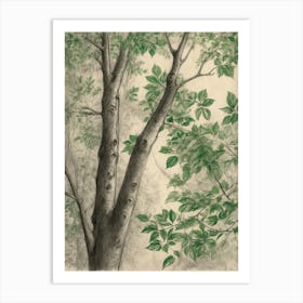 Tree In The Forest Art Print