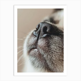 Close Up Of A Cat'S Nose.Generated AI. Art Print Art Print