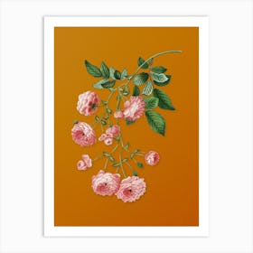 Vintage Pink Rambler Roses Botanical on Sunset Orange n.0469 Art Print