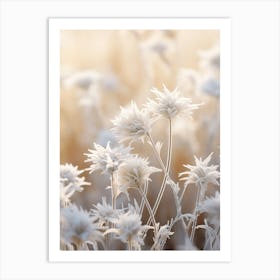 Frosty Botanical Edelweiss 2 Art Print